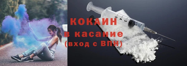 МДПВ Пересвет