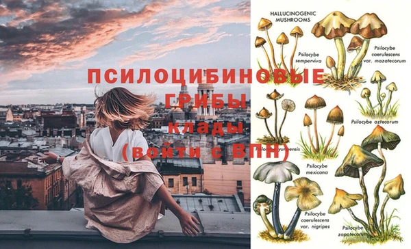 соль ск Алексеевка