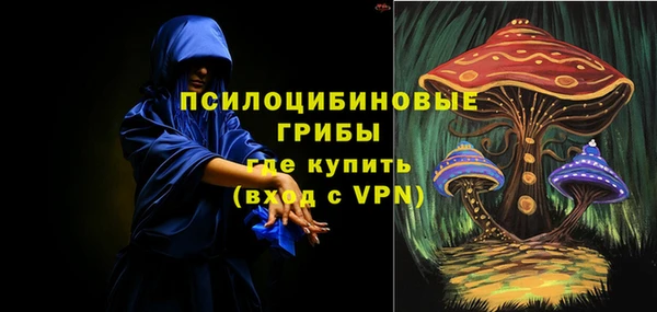 соль ск Алексеевка